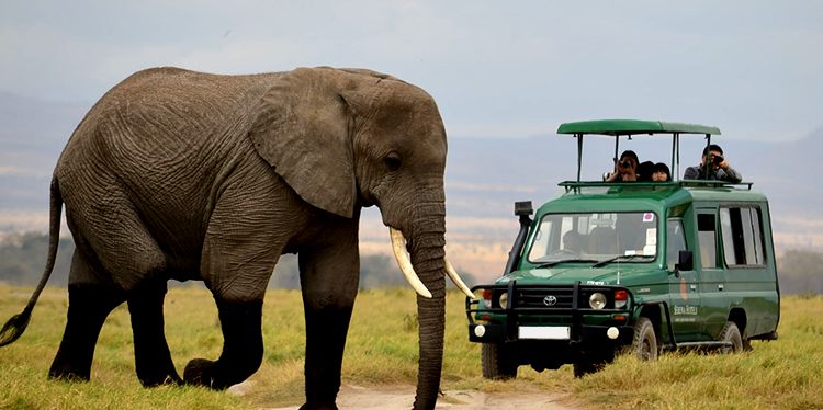 Big 5 Game Safari in Akagera National Park Rwanda 