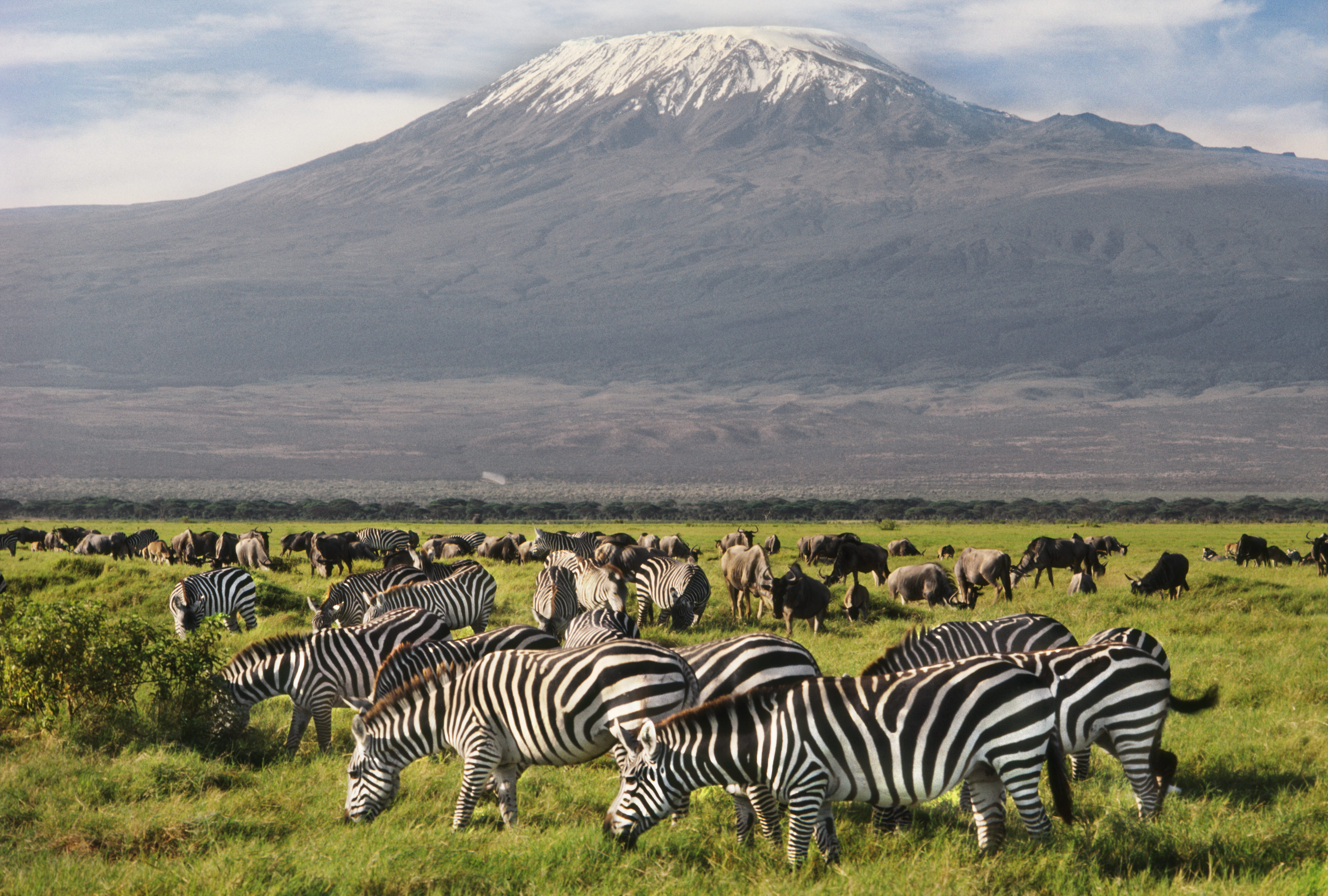 4 Days 3 Nights Tsavo & Amboseli Tour